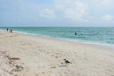 Sandee - Nokomis Beach