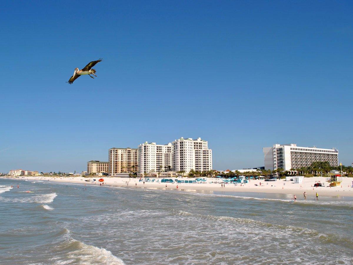 Sandee - Clearwater Beach