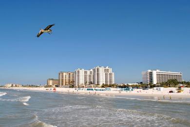 Sandee - Clearwater Beach