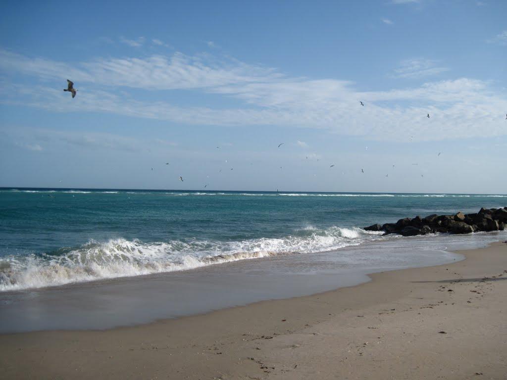 Sandee - Ocean Inlet Park