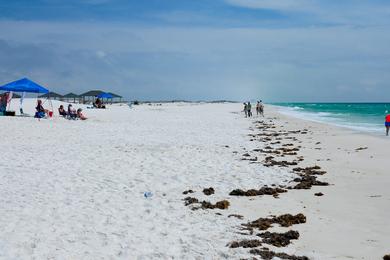 Sandee Opal Beach Photo