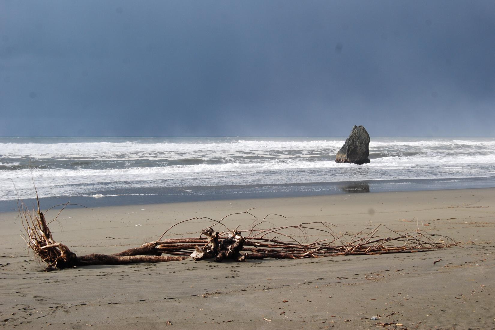 Sandee - East Beach Old Coast Guard