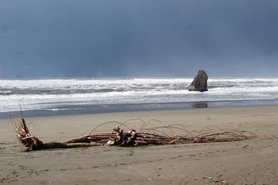 Sandee - East Beach Old Coast Guard