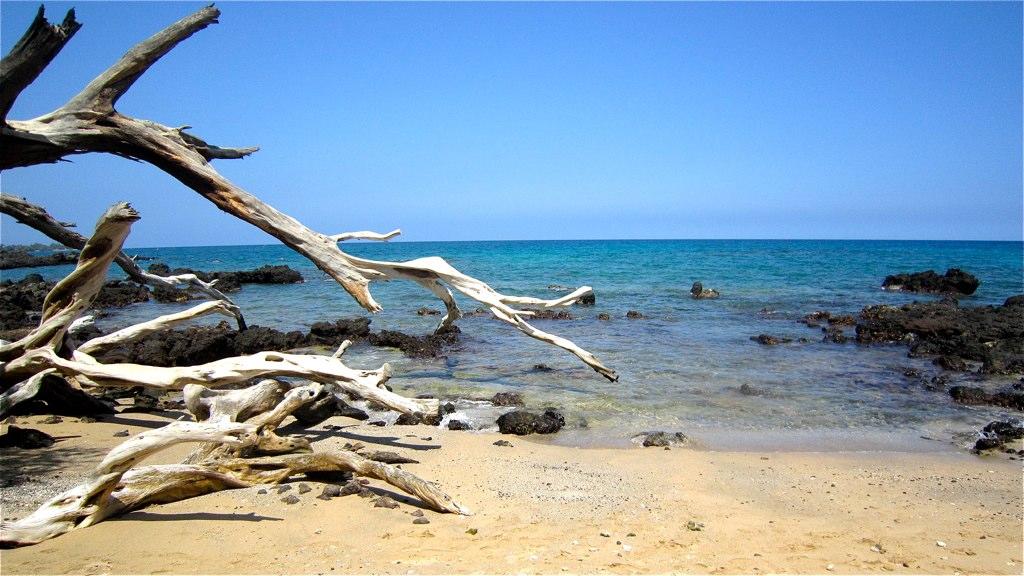 Sandee Driftwood Beach Photo