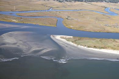 Sandee Pelican Spit