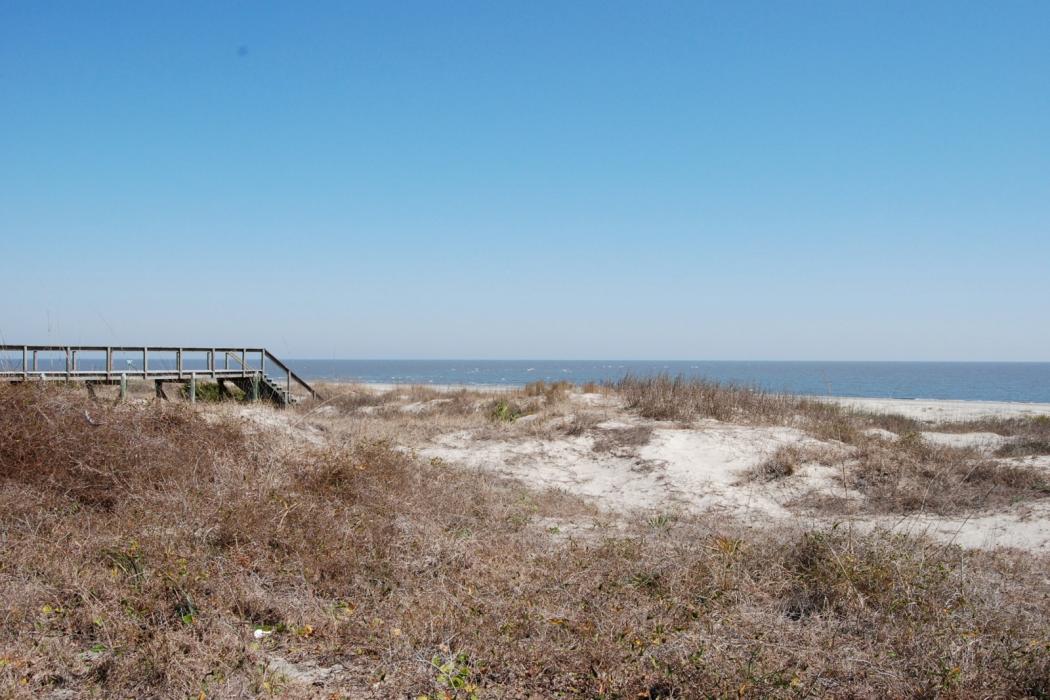 Sandee South Dunes Beach Park Photo