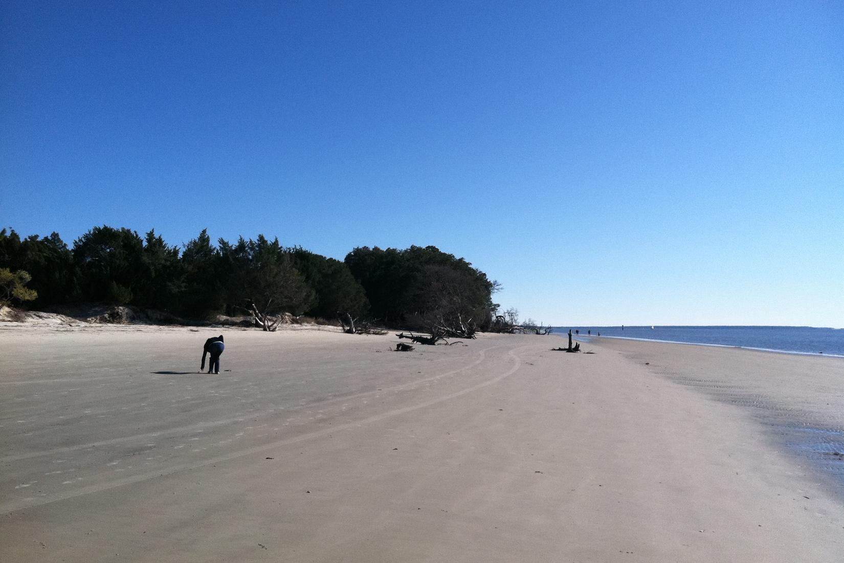 Sandee - St. Andrews Beach