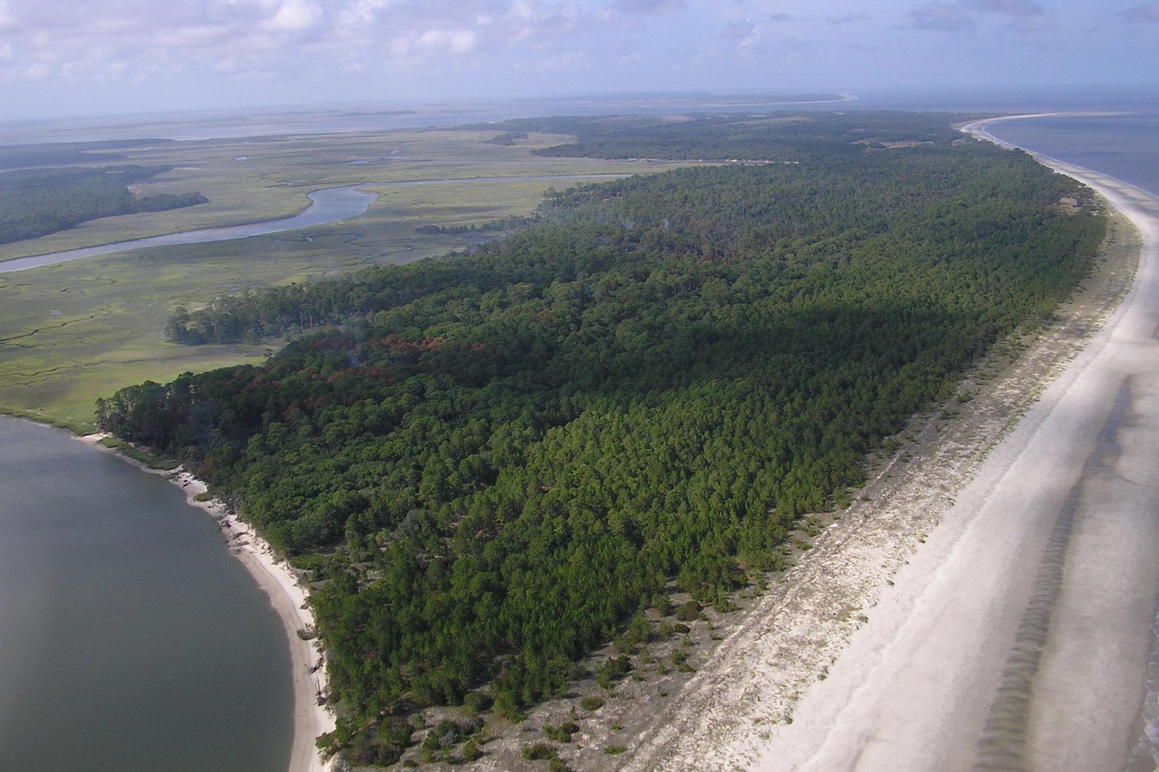 Sandee - Blackbeard Island