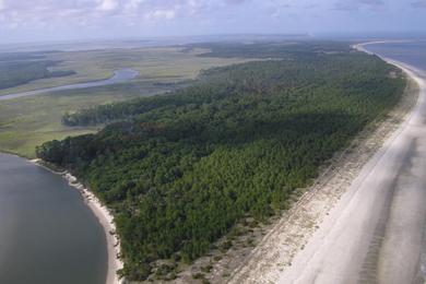 Sandee Blackbeard Island