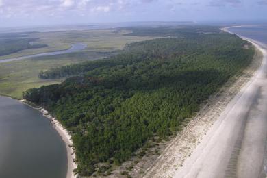 Sandee Blackbeard Island Photo