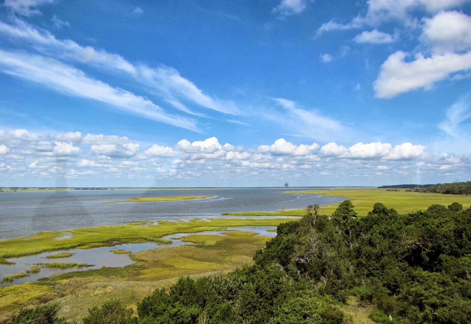 Sapelo Island Photo - Sandee