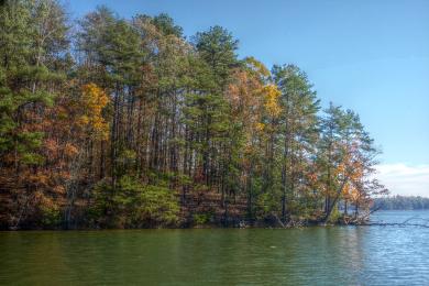 Sandee Lake Lanier Islands Photo