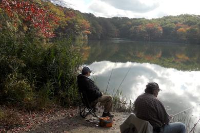 Sandee Hooks Creek Lake
