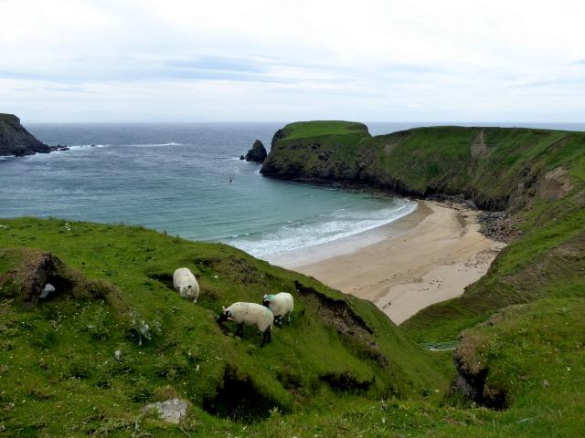 Sandee Silver Strand
