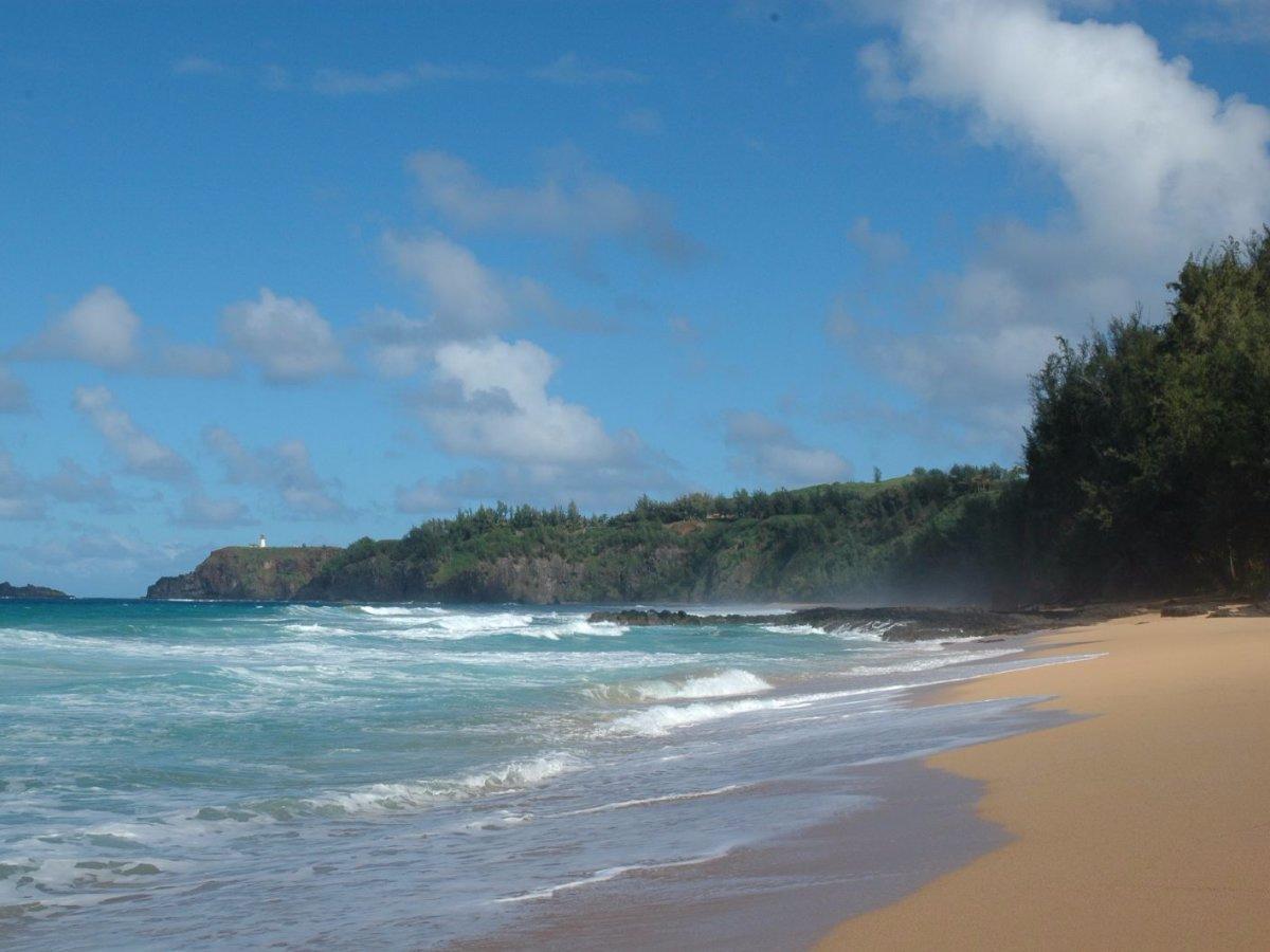 Sandee - Kauapea Beach