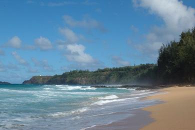 Sandee - Kauapea Beach