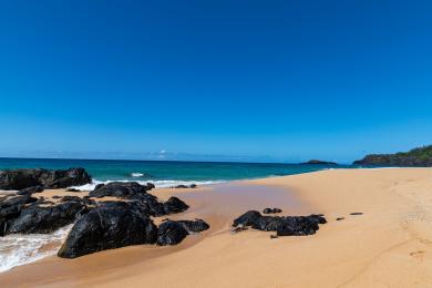 Sandee - Kauapea Beach