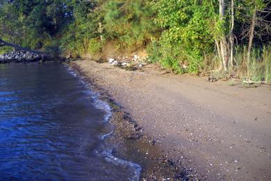 Sandee Elk Neck State Park - North East Beach Area