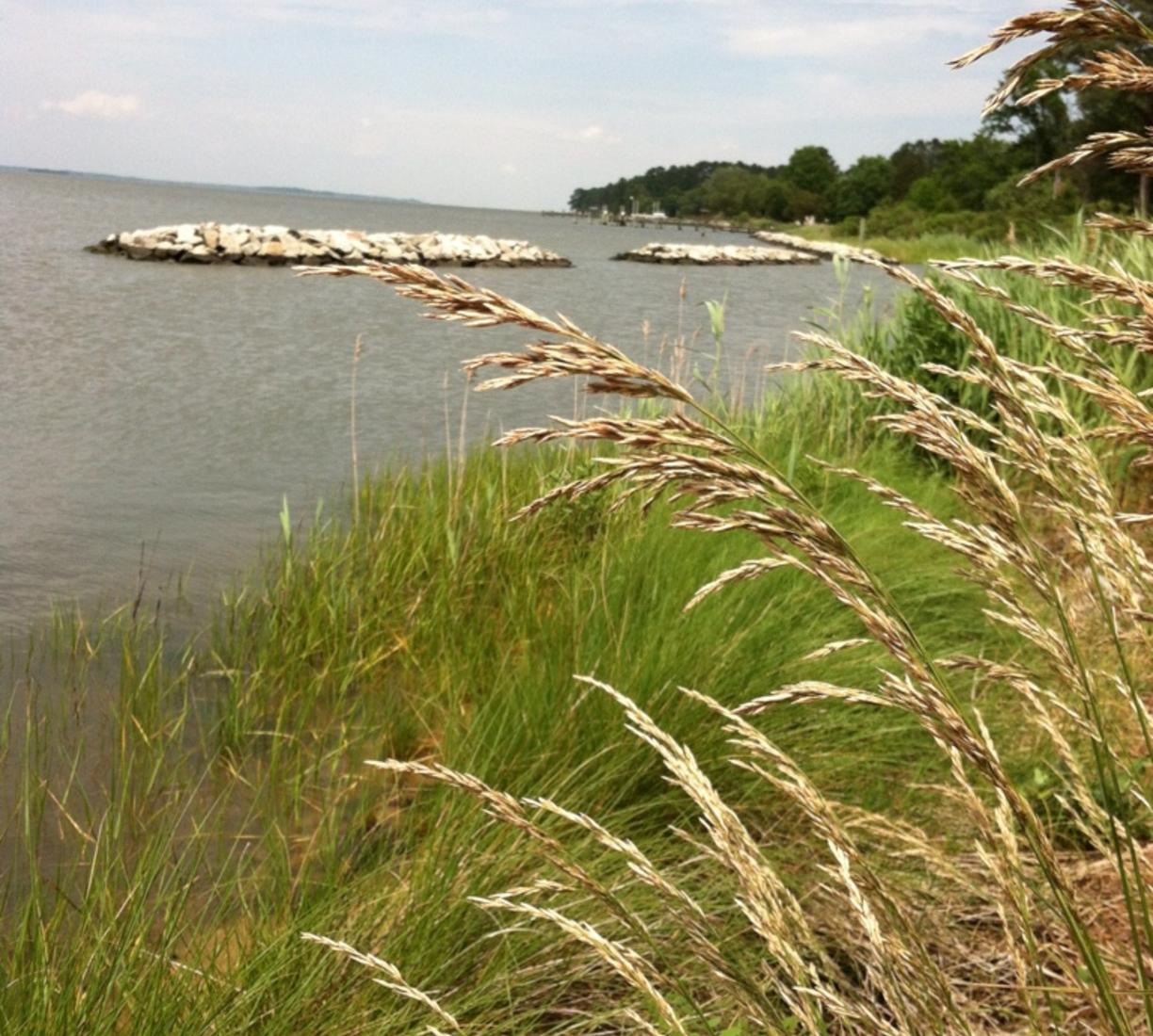 Sandee - Cedar Hill Park