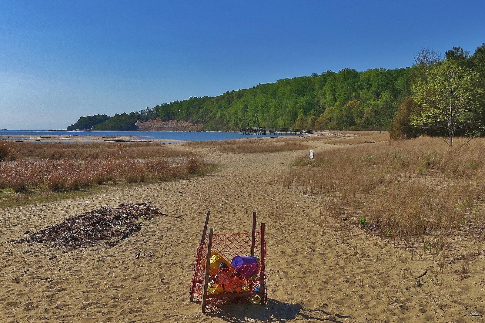 Sandee - Flag Ponds Nature Park