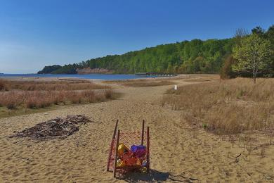 Sandee - Flag Ponds Nature Park