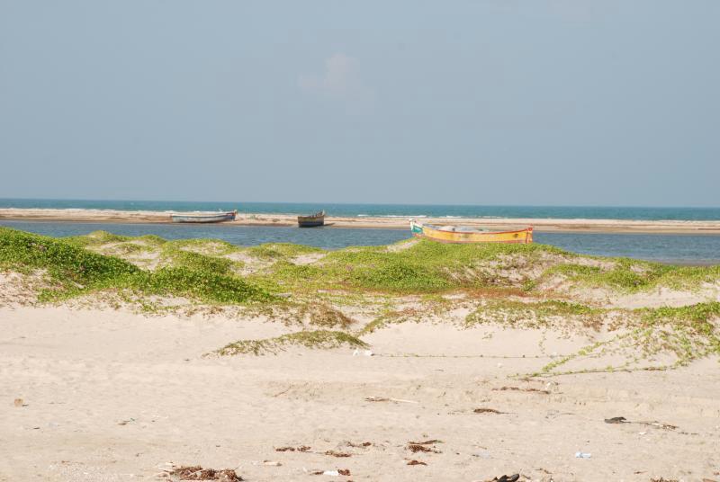 Sandee - Dhanushkodi Beach