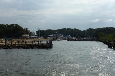 Sandee Tolchester Marina And Beach Photo