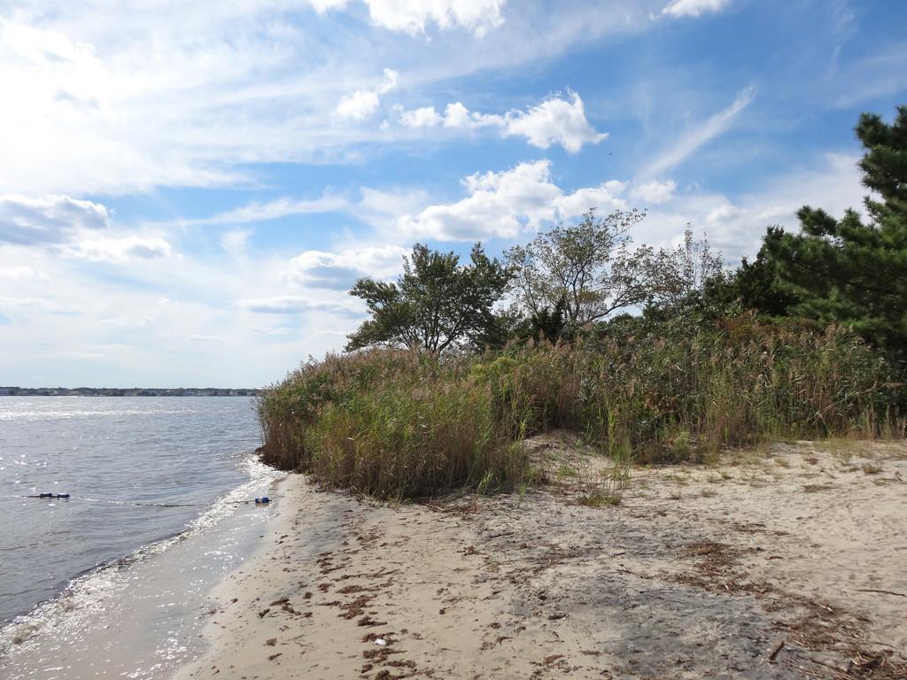 Sandee - Berkeley Island Beach