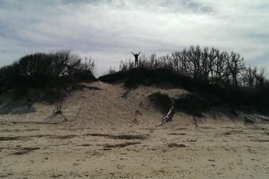 Sandee Higbee Beach Wildlife Management Area Photo