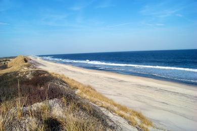 Sandee - Bellport Beach