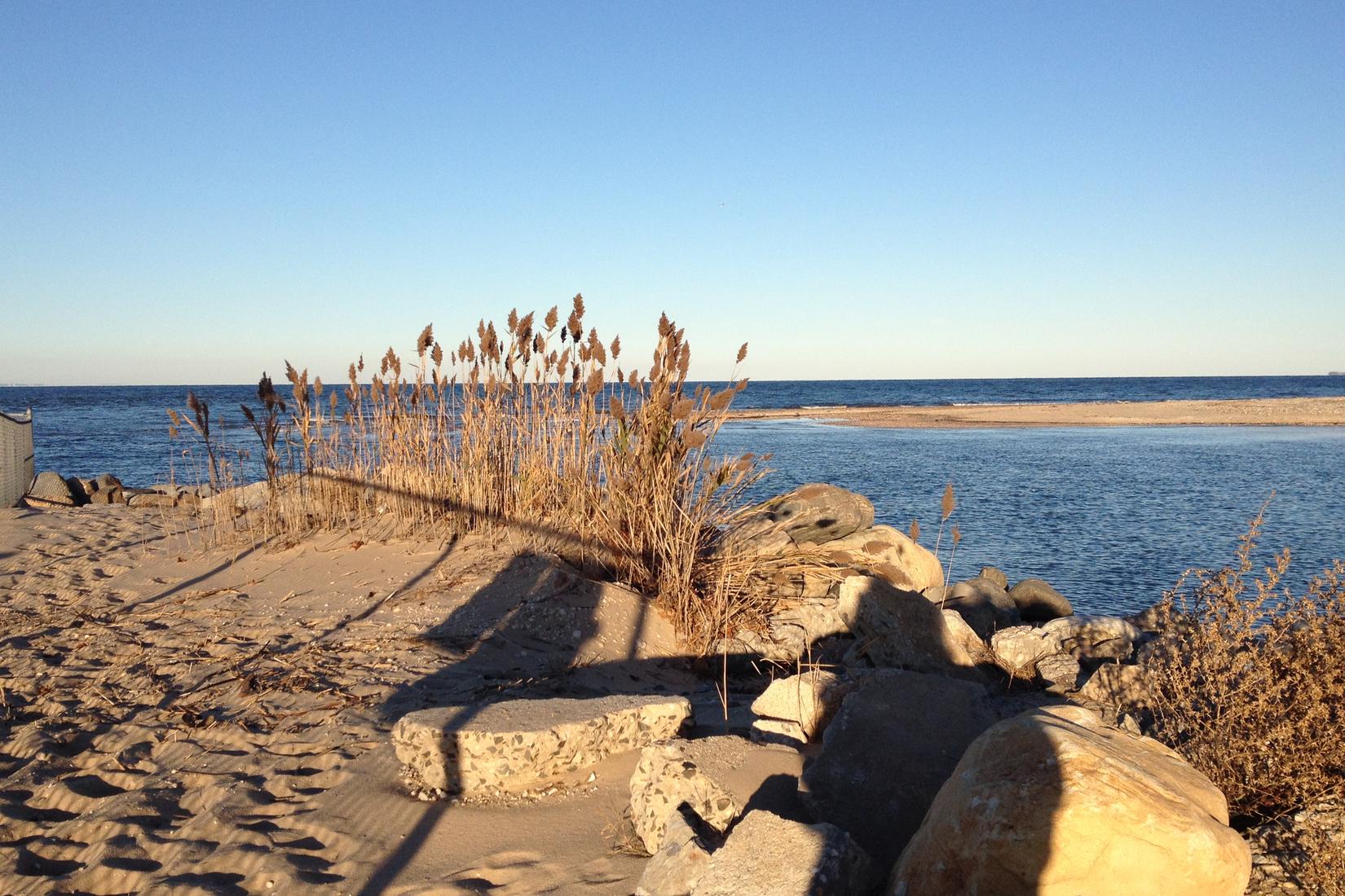 Sandee - Crab Meadow Beach