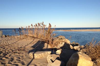 Sandee Crab Meadow Beach