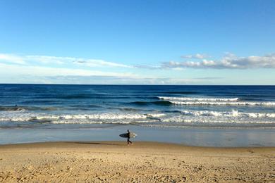 Sandee - Ditch Plains Beach