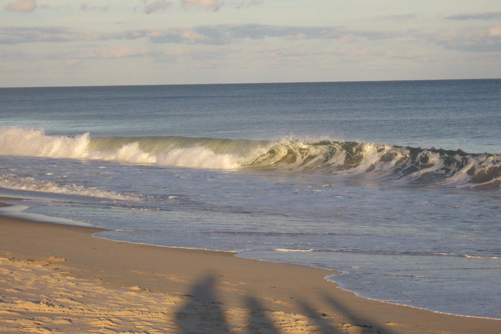 Sandee - Ditch Plains Beach