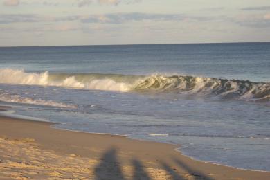 Sandee - Ditch Plains Beach