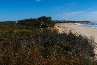 Sandee Ditch Plains Beach Photo