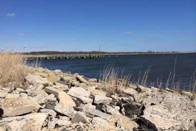 Sandee East Islip Marina Park