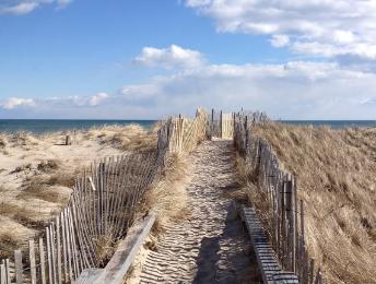 Sandee - Flying Point Beach