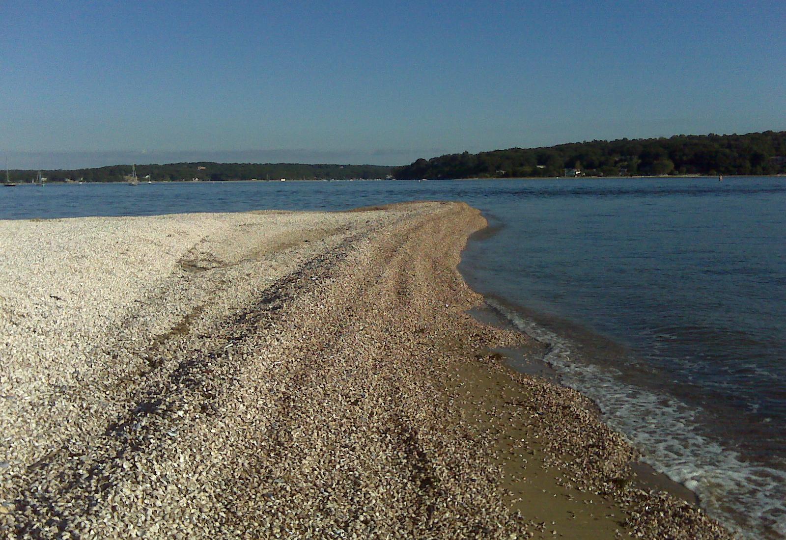 Sandee - Hobart Beach