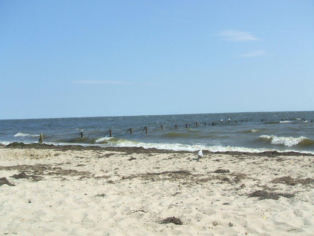 Sandee - HomePage / Islip