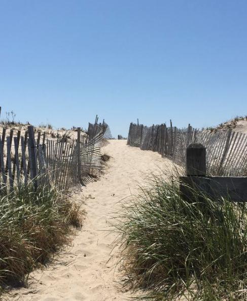 Sandee - Ponquogue Beach