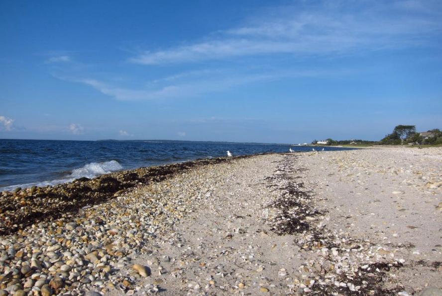 Sandee - Ponquogue Beach