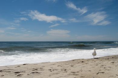 Sandee Tiana Beach