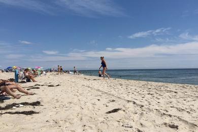 Sandee - Ponquogue Beach