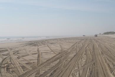 Sandee Fruitville Beach