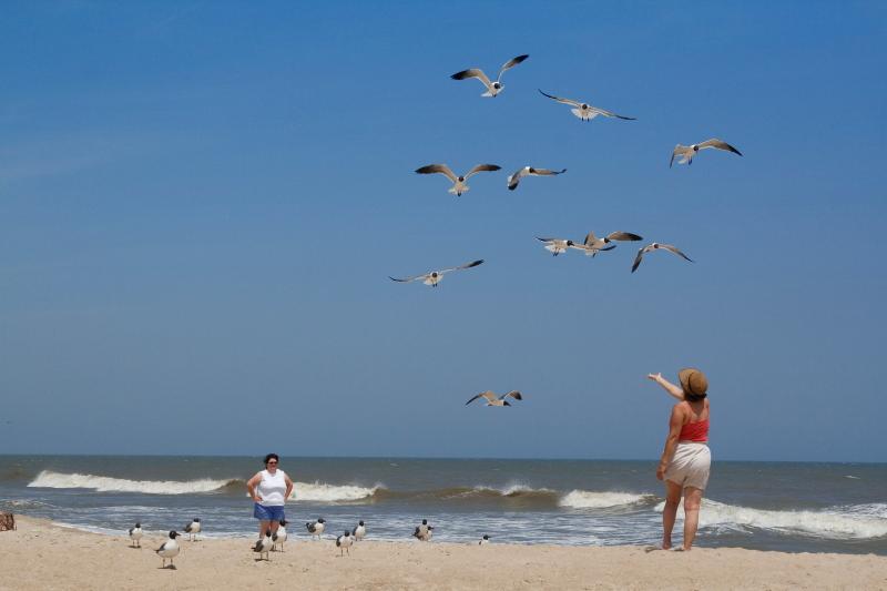 Sandee - Kure Beach