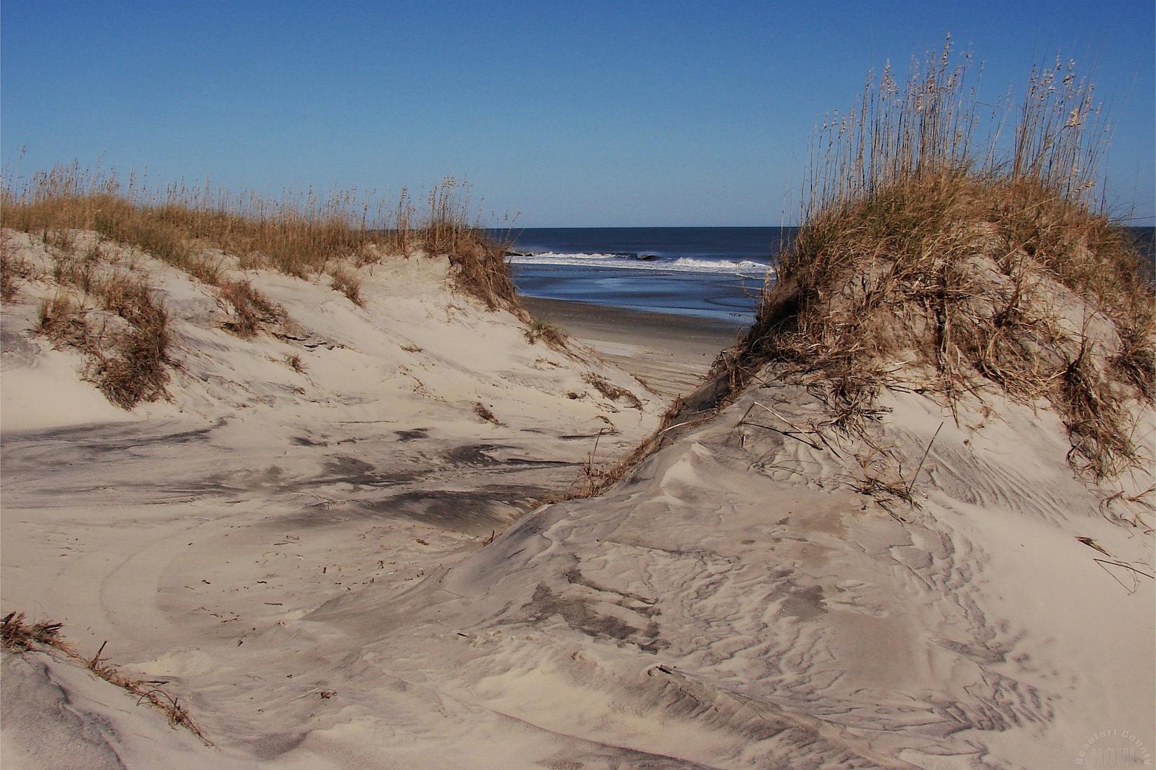 Sandee - Currituck Beach