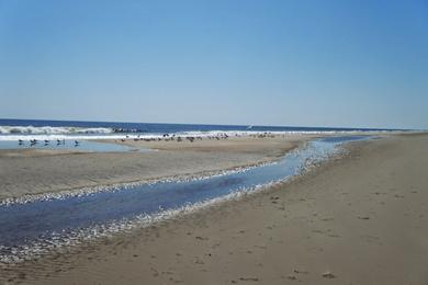 Sandee Northernmost Beach Access - Pea Island