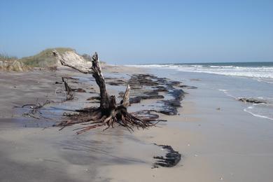 Sandee Public Access At Broadway Street And North Shore Drive - Topsail Beach