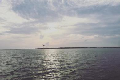 Sandee Shackleford Banks - Nun Bouy #2